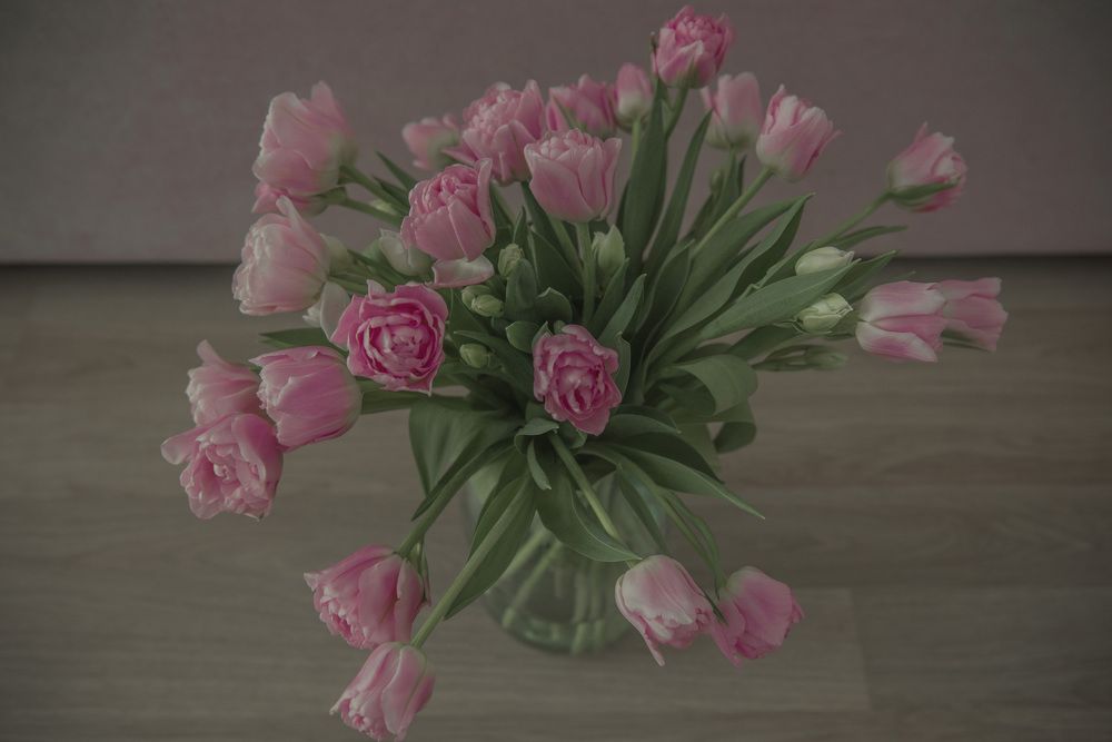 Photograph by Helena Proshkina