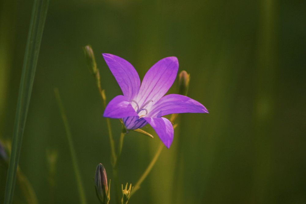 Photograph by Владислав Капанов