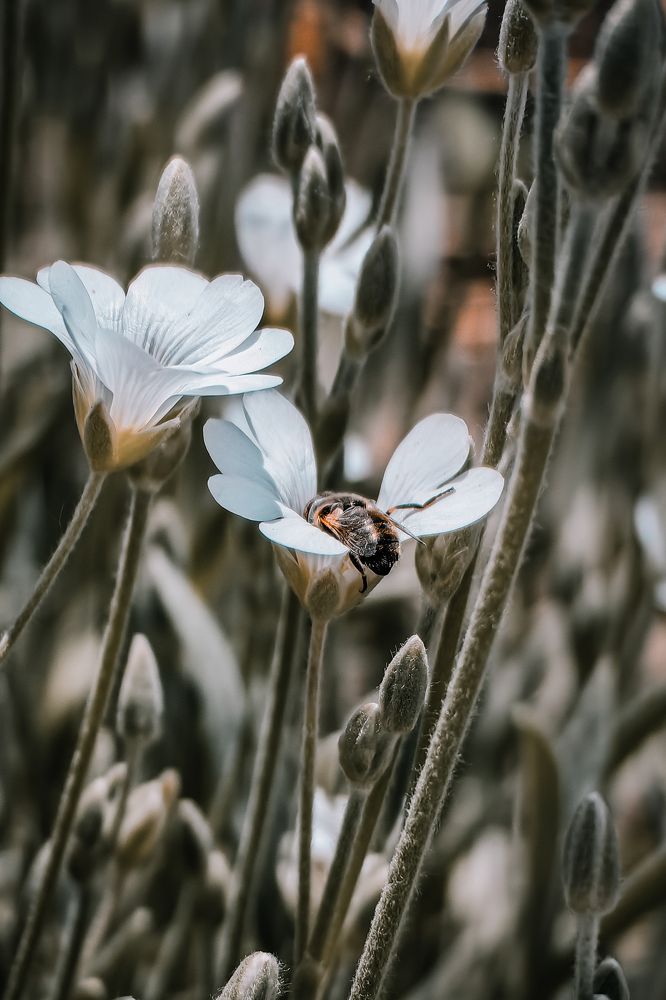 Photograph by Yuliya Karpova