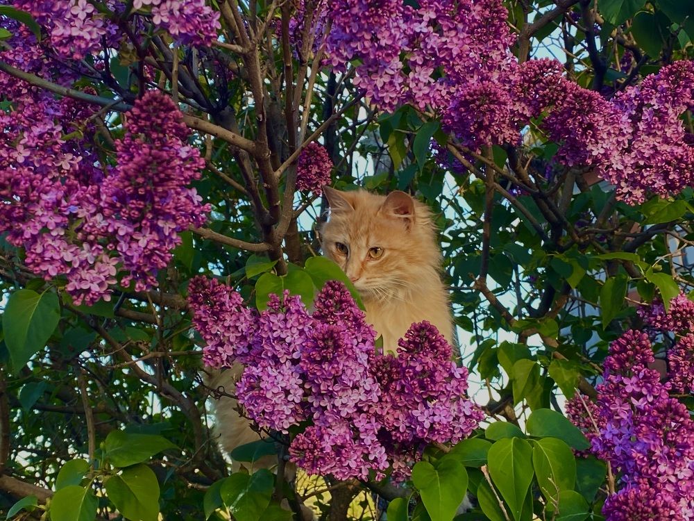 Photograph by Софья Цыбулько