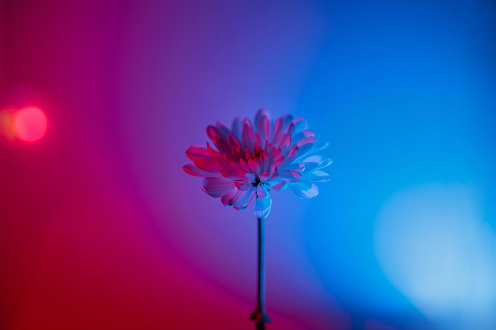 Photograph by Алёна Губинская