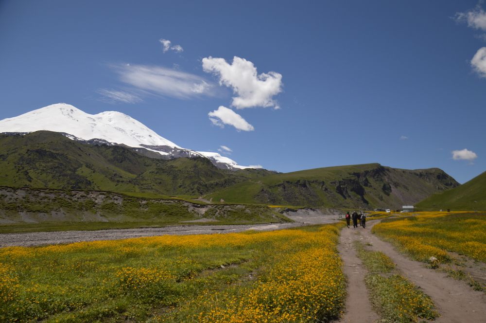 Photograph by Ольга Шевцова