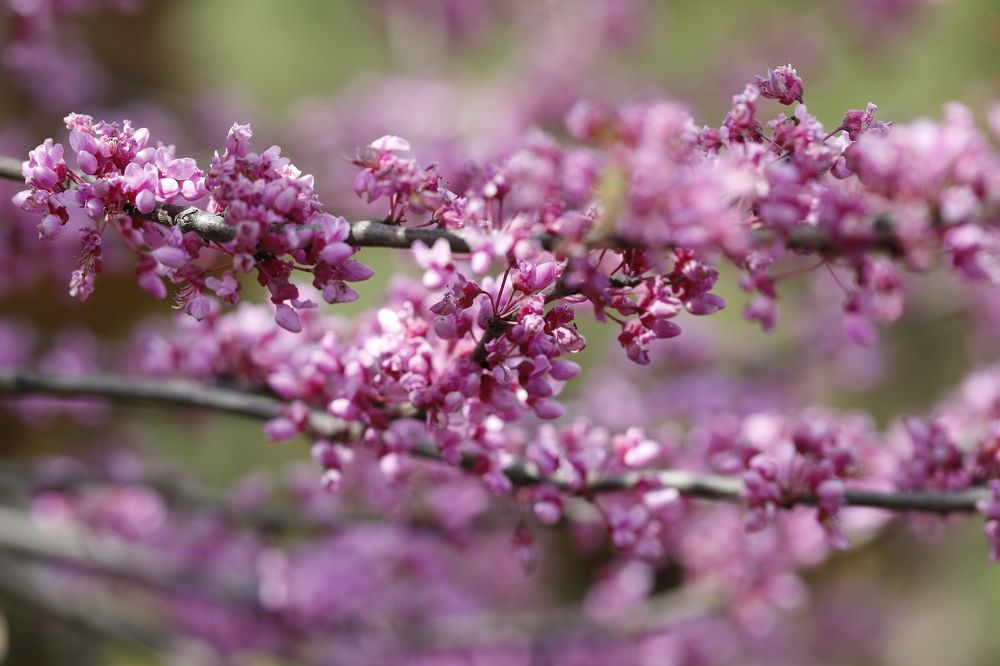 Photograph by Олег С