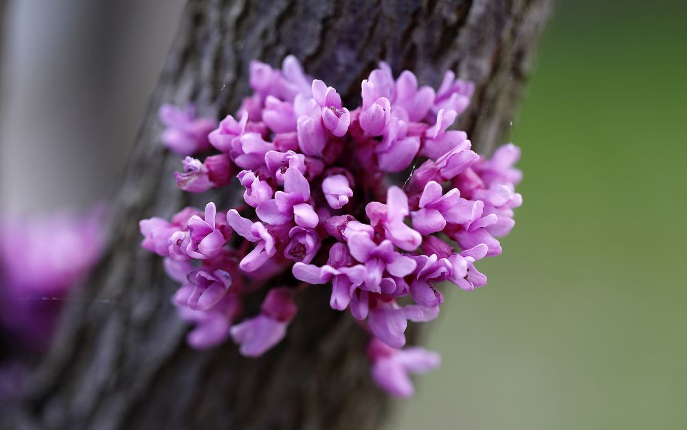 Photograph by Олег С