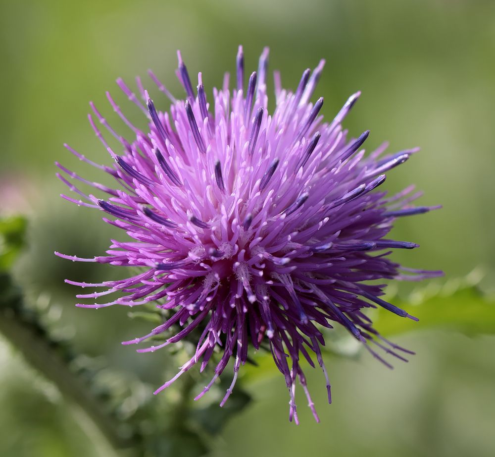 Photograph by Олег С