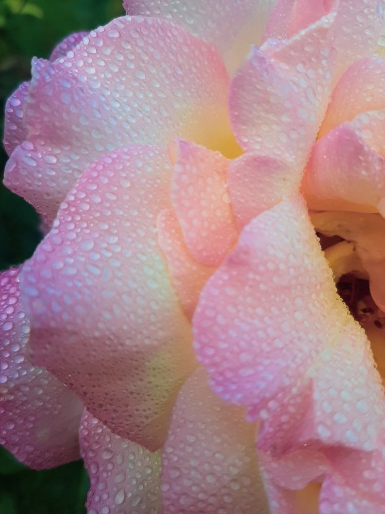 Фотография автора Valerya Vasileva