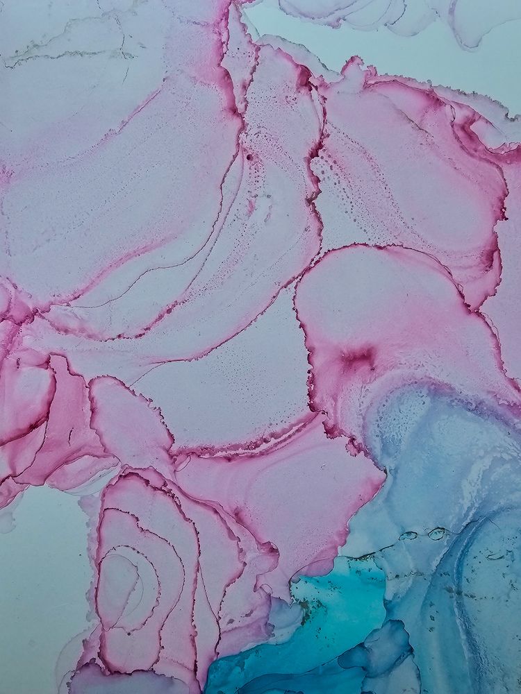 Фотография автора Ольга Шишук