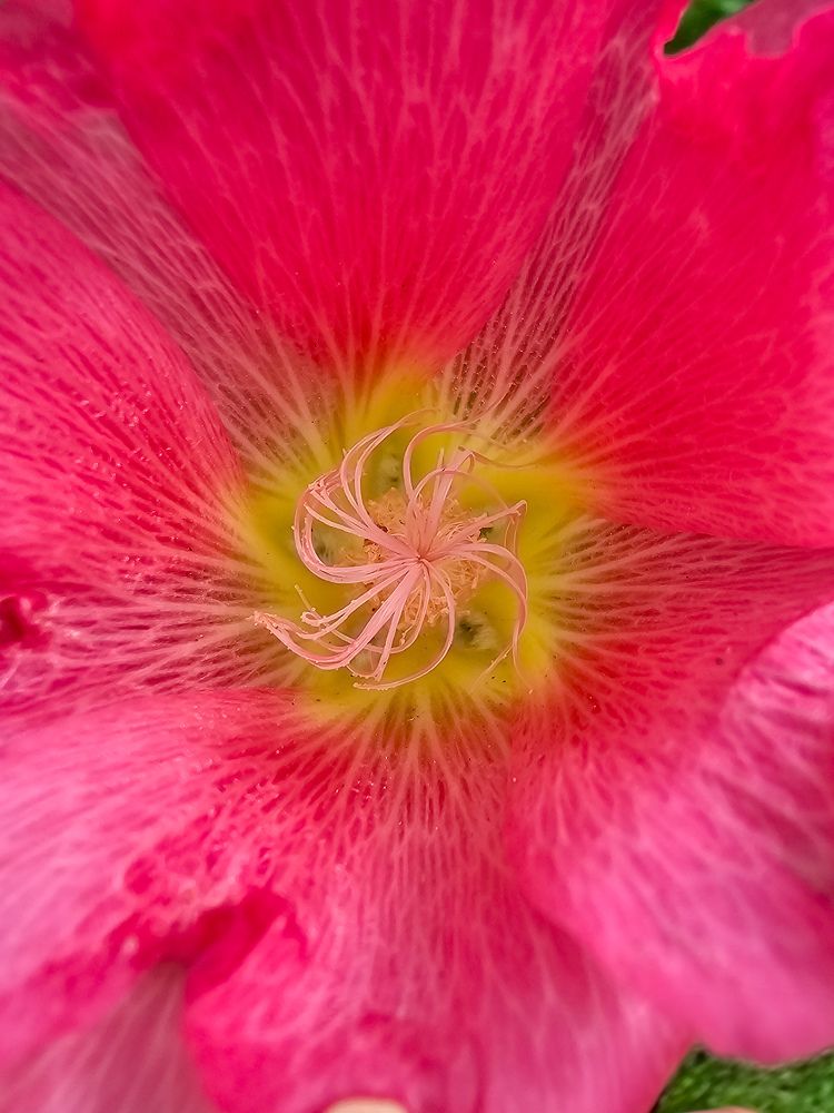 Фотография автора Ольга Шишук