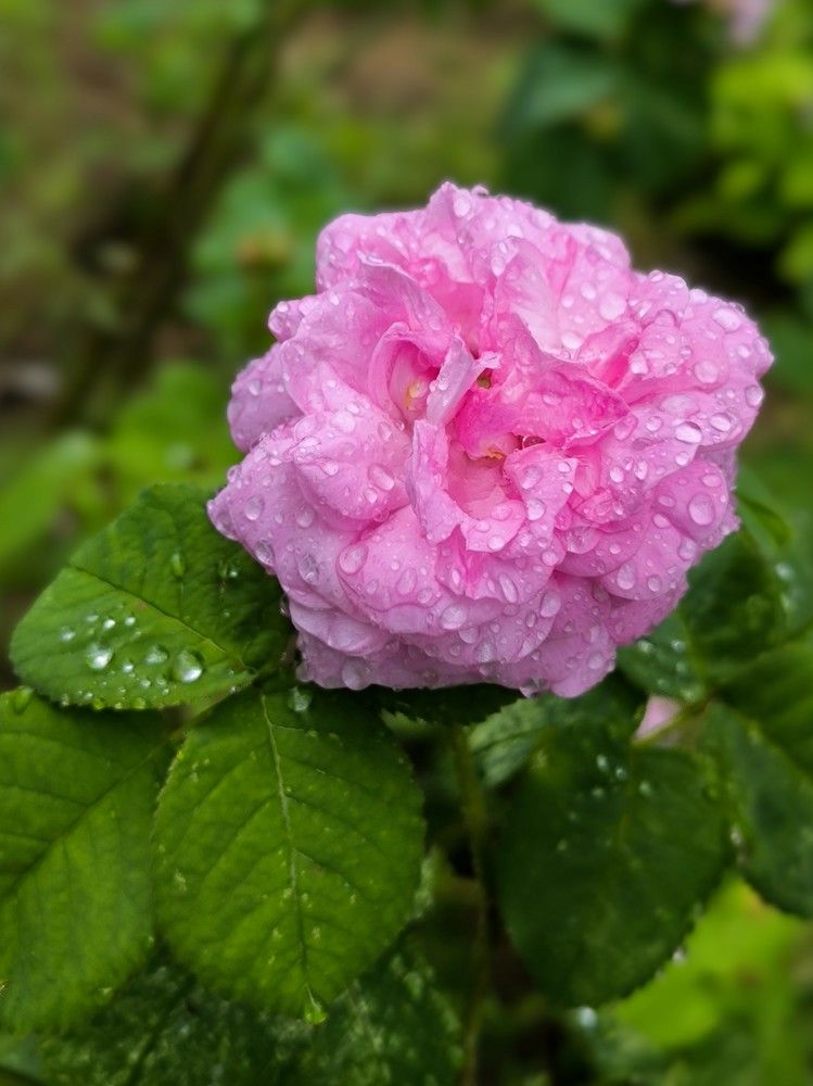 Photograph by Татьяна Яцкевич