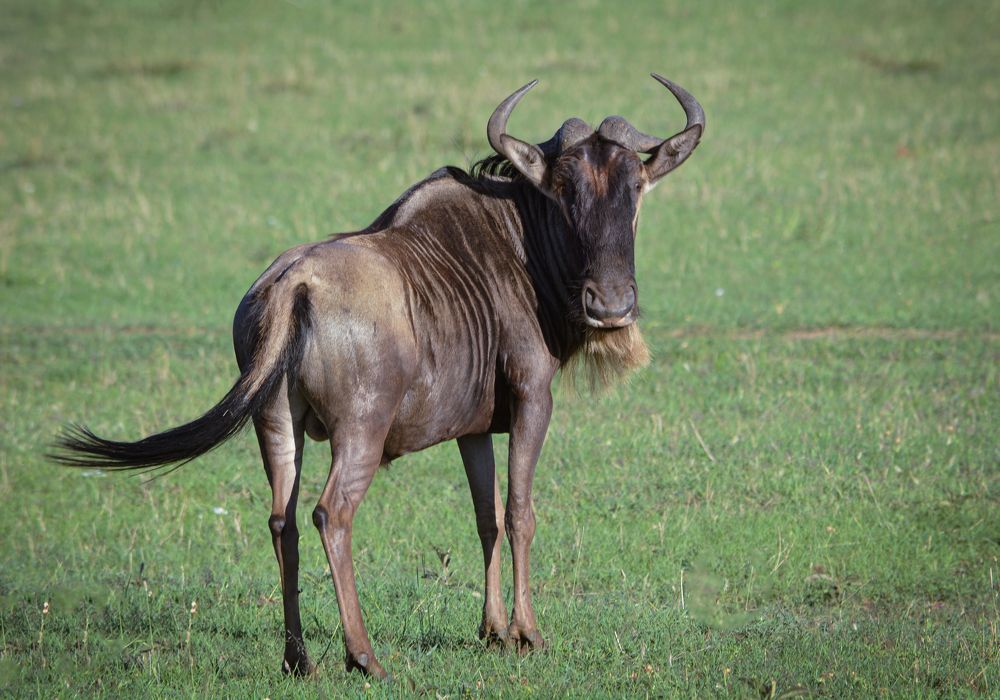 Photograph by Inna Ivanova