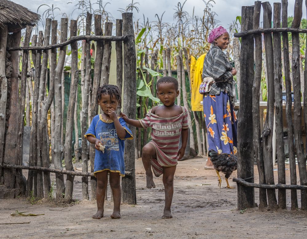 Фотография автора Анатолий Фомин