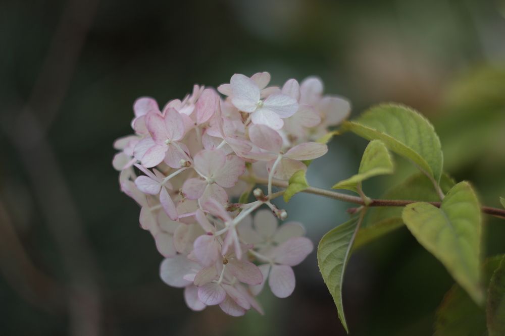 Photograph by Оксана Малахова