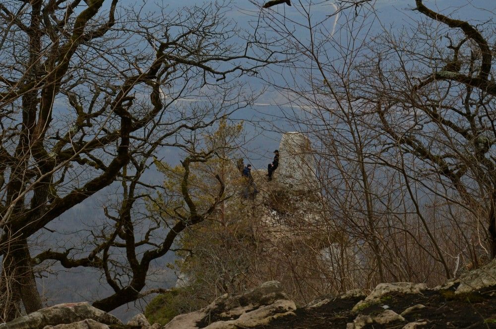 Photograph by Ольга Шевцова