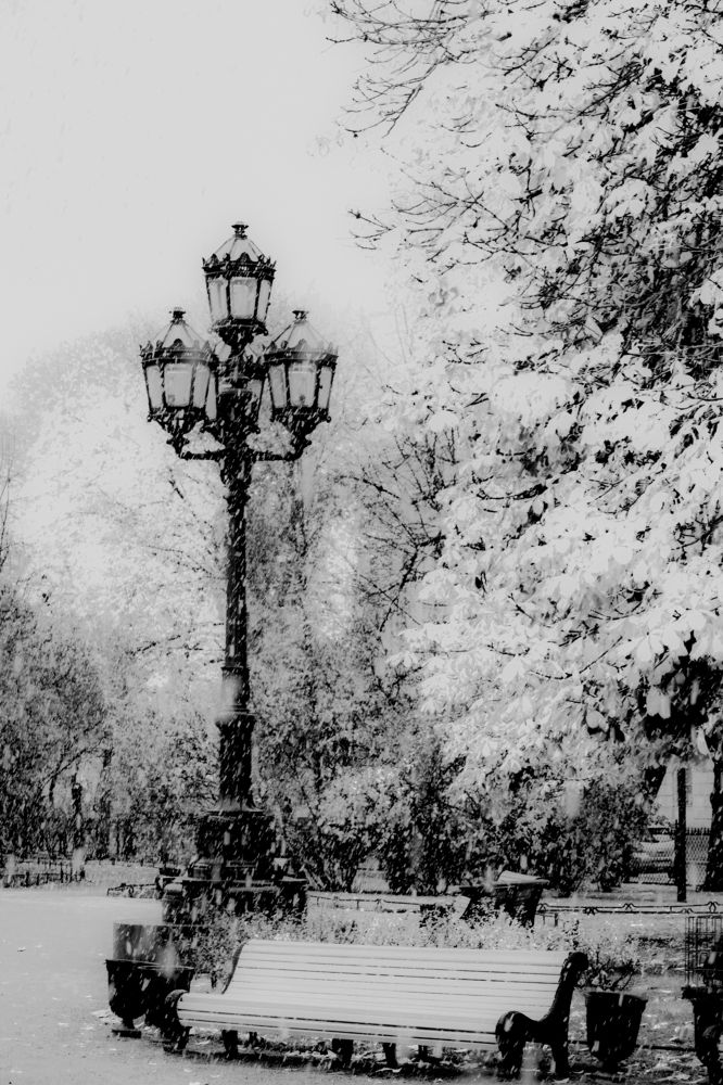 Photograph by Александр Селезнев