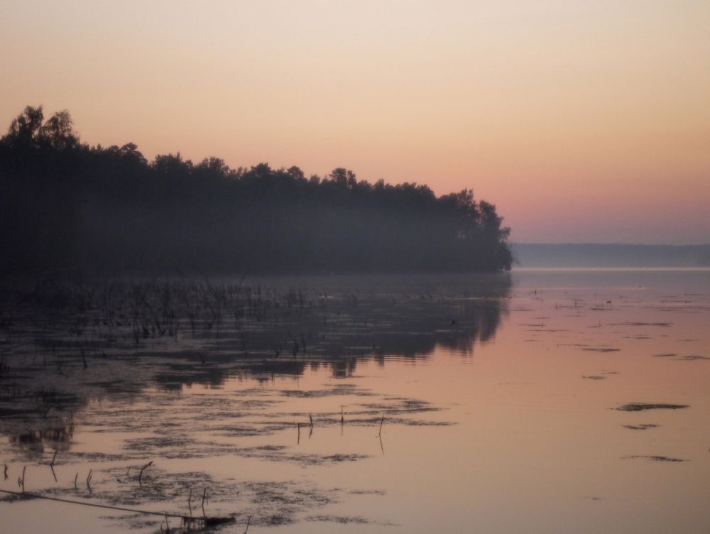 Photograph by Баженова Наталья