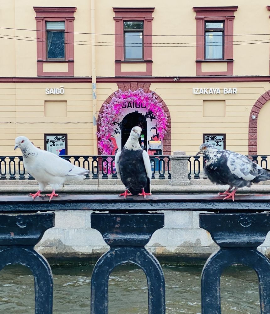 Photograph by Наталья Казачок
