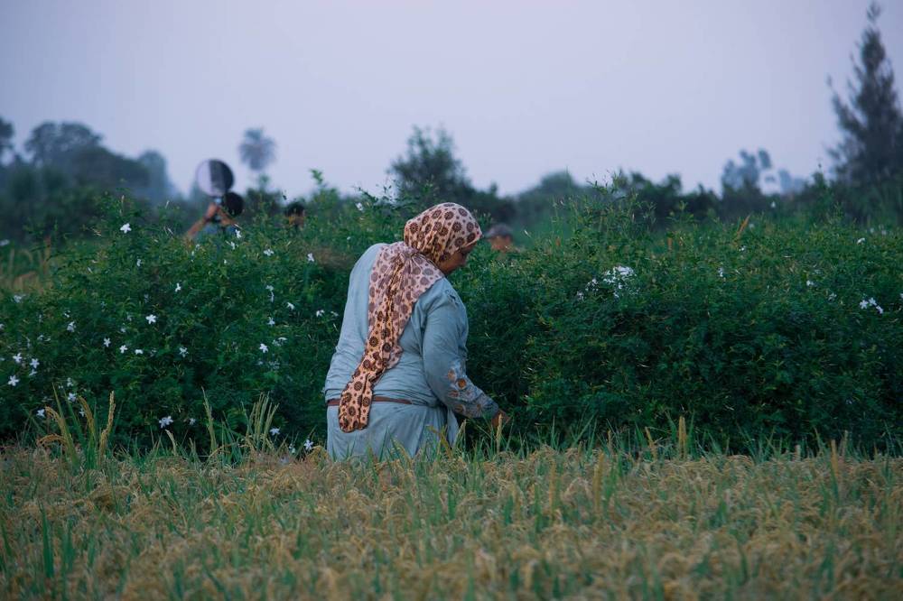 Photograph by Salih Younis