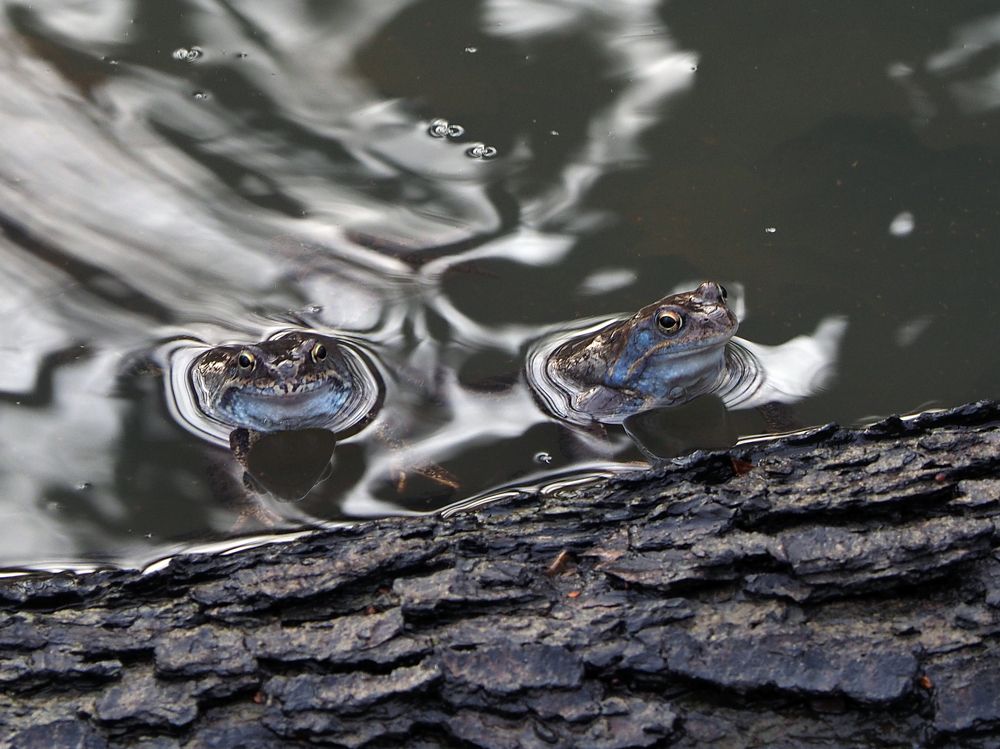 Photograph by Alexander Chernikov