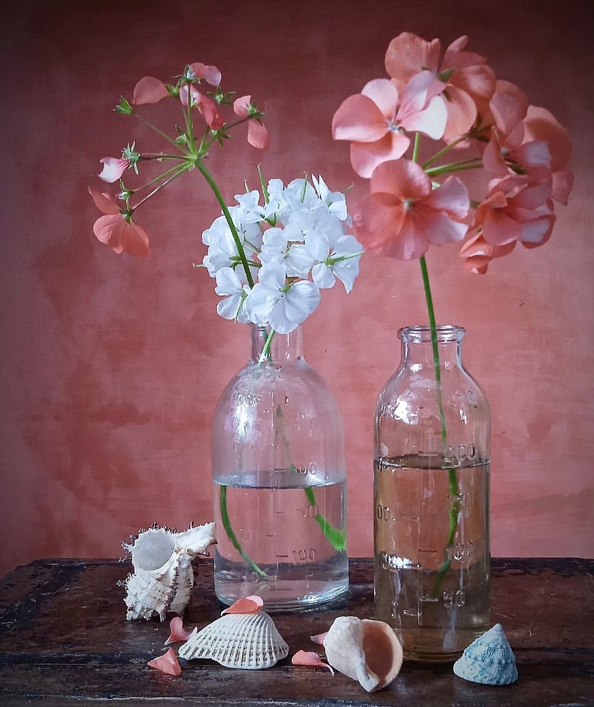 Photograph by Евсеева Валентина