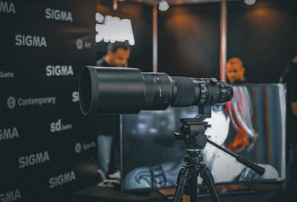 Photograph by Татьяна Бравая