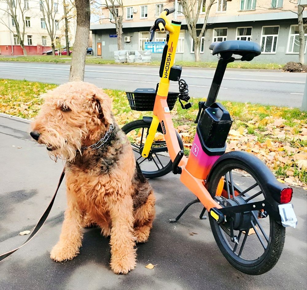 В ритме города