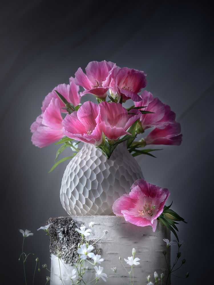 Photograph by Olga Yar