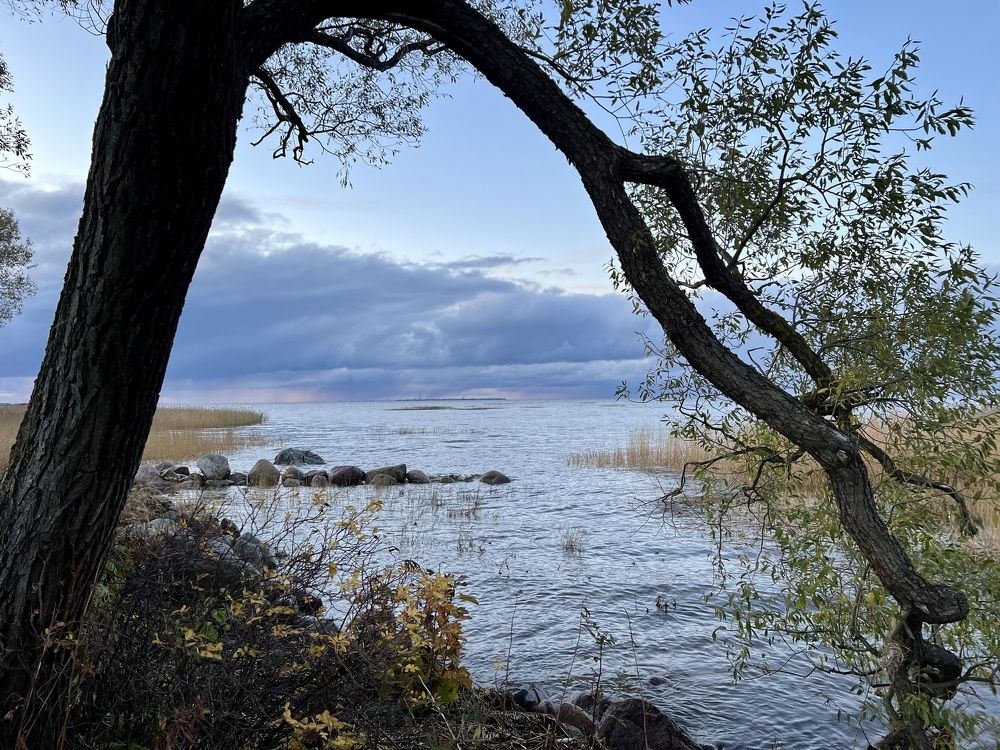 Photograph by Ксения Любченко