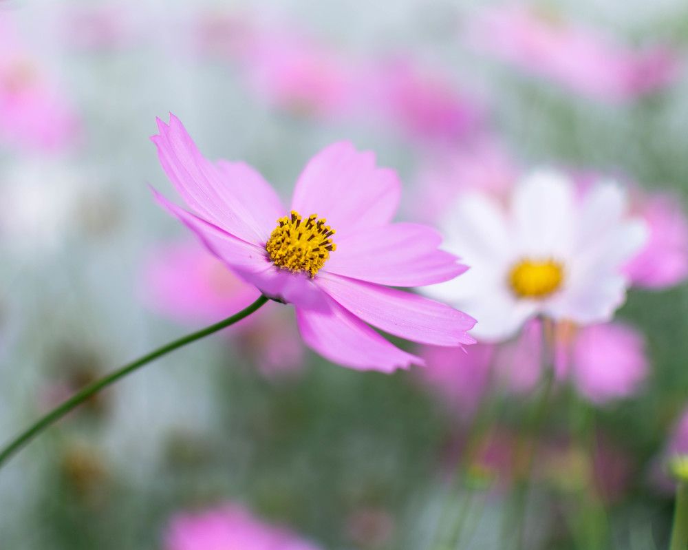 Photograph by Людмила Прибылова