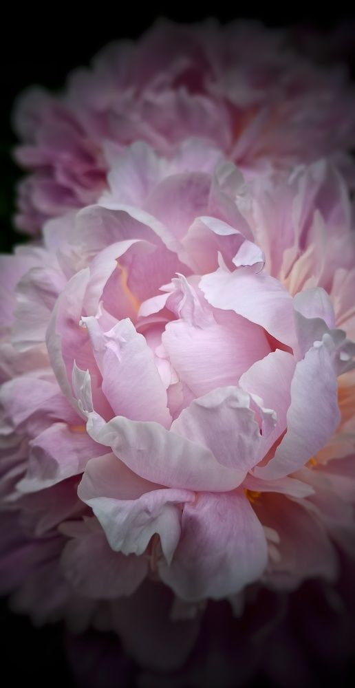 Photograph by Наталия Мельникова