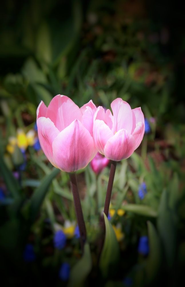 Photograph by Наталия Мельникова