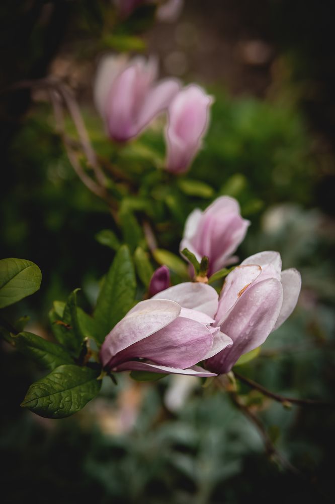 Photograph by Valentina Vasileva