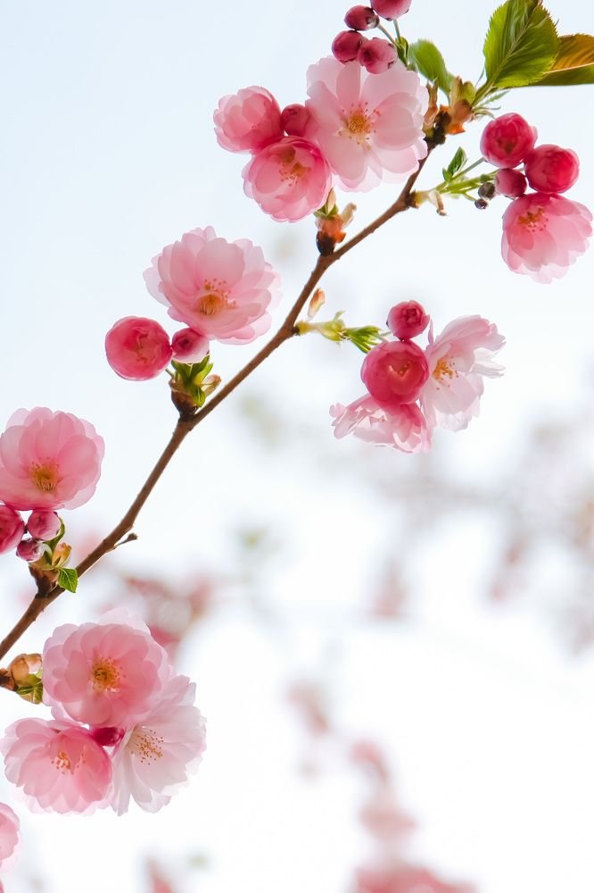 Photograph by Дулова Анастасия