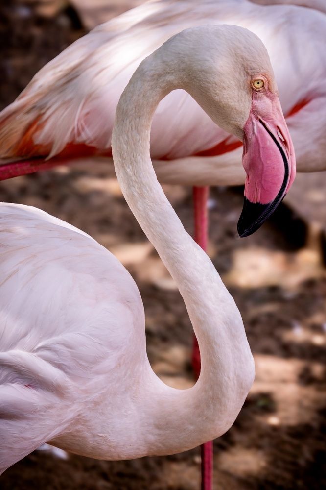 Photograph by Дулова Анастасия