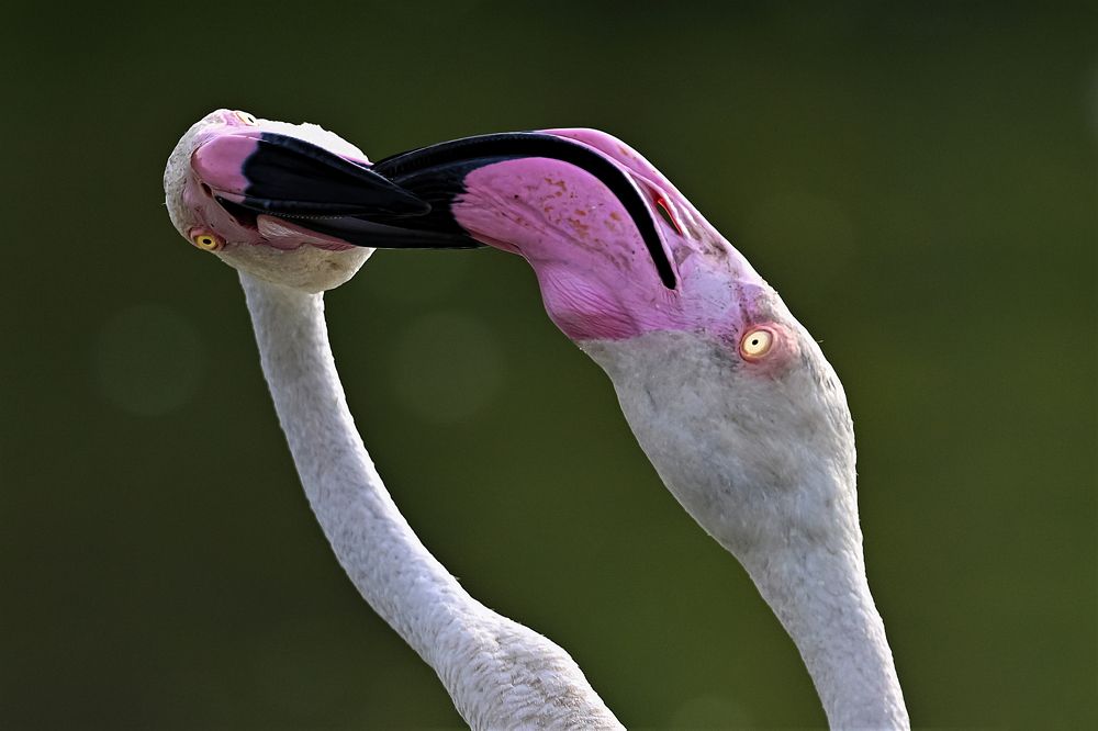 Photograph by nimalan subramaniam