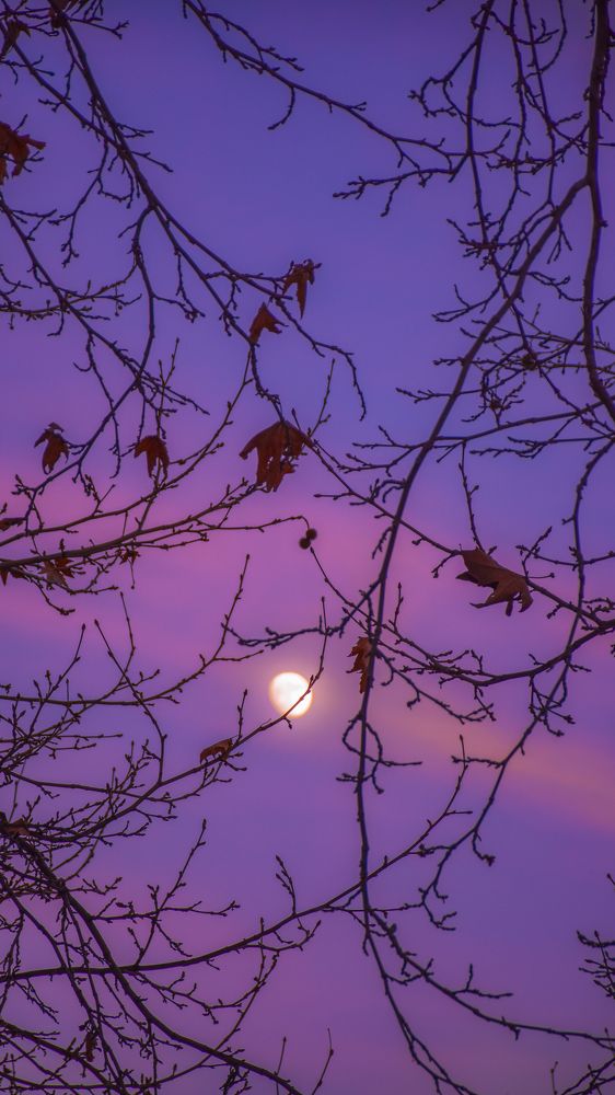 Photograph by Farshad Yazdankhah