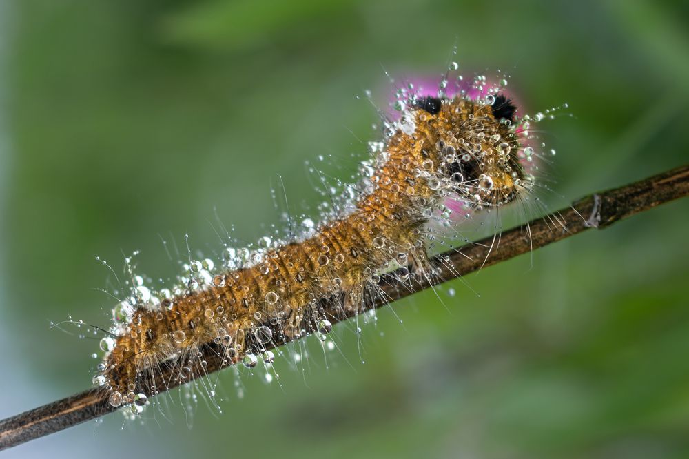 Photograph by Ольга Мусиенко