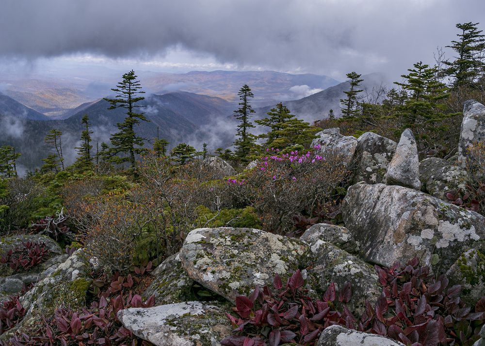 Photograph by ALEKSANDR KUZNETSOV