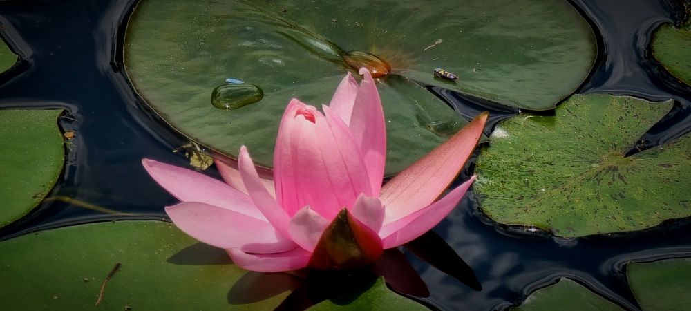 Photograph by Gr Marie