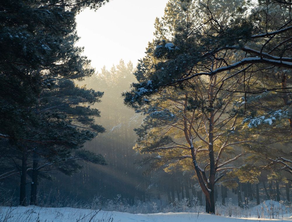 Photograph by Дубровин Николай