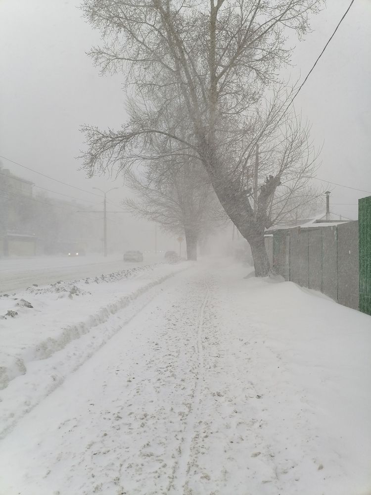 Photograph by Полина Мумряева
