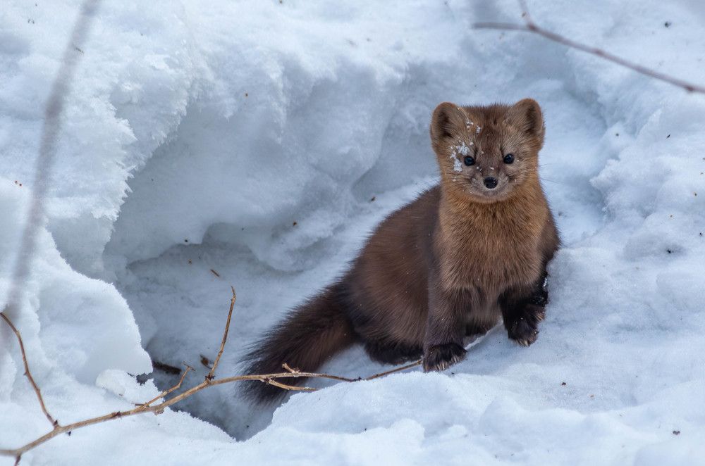 Photograph by Толян Бууулочкин