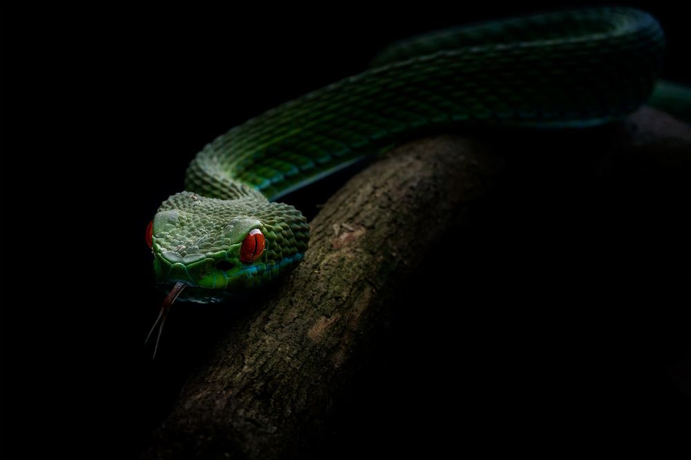 Фотография автора Tran Anh Tuan