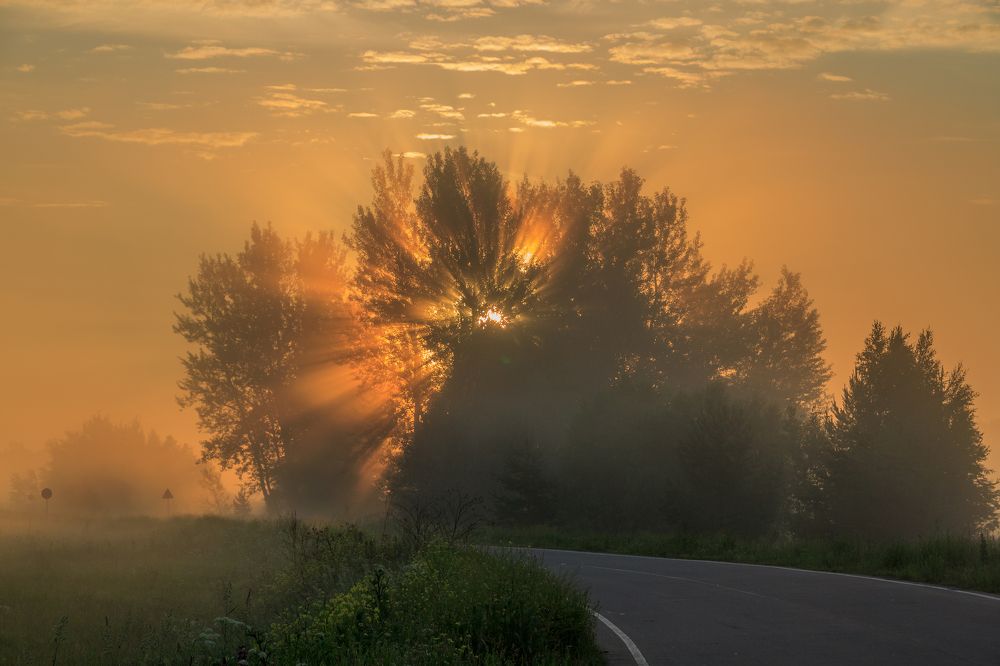 Photograph by Николай Шаповалов