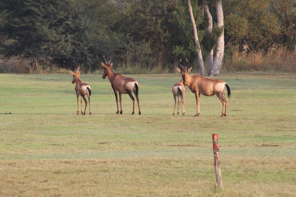 Фотография автора Nico Ebersohn