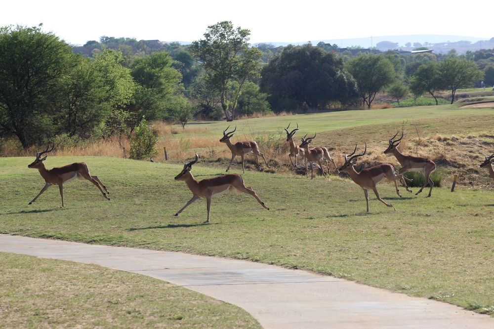 Фотография автора Nico Ebersohn