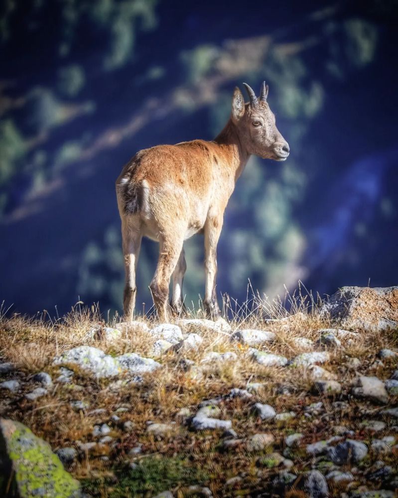 Photograph by Владимир Кульбит