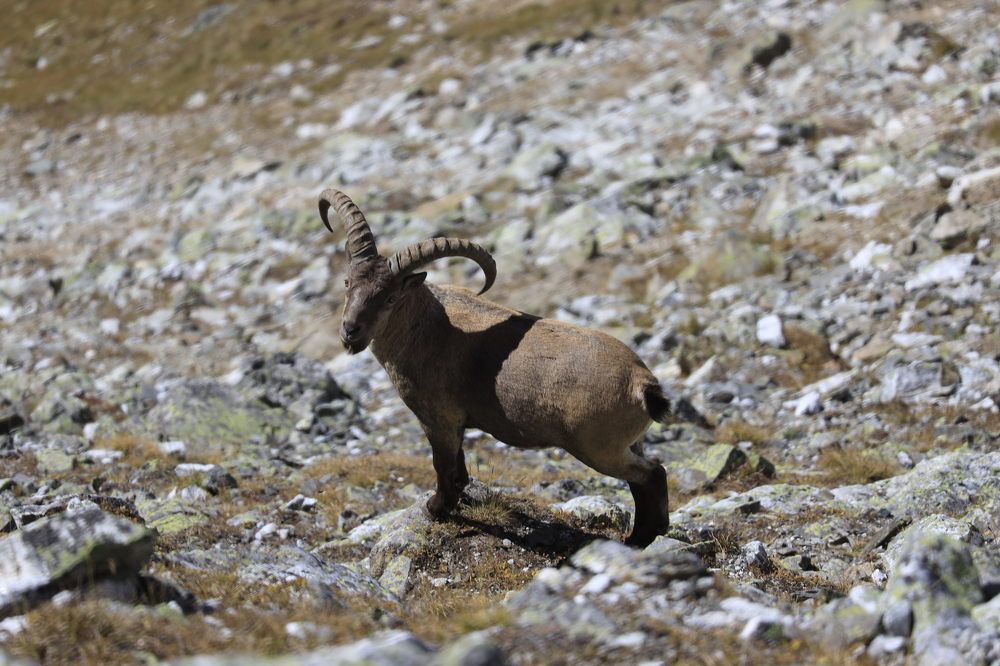 Photograph by Владимир Кульбит