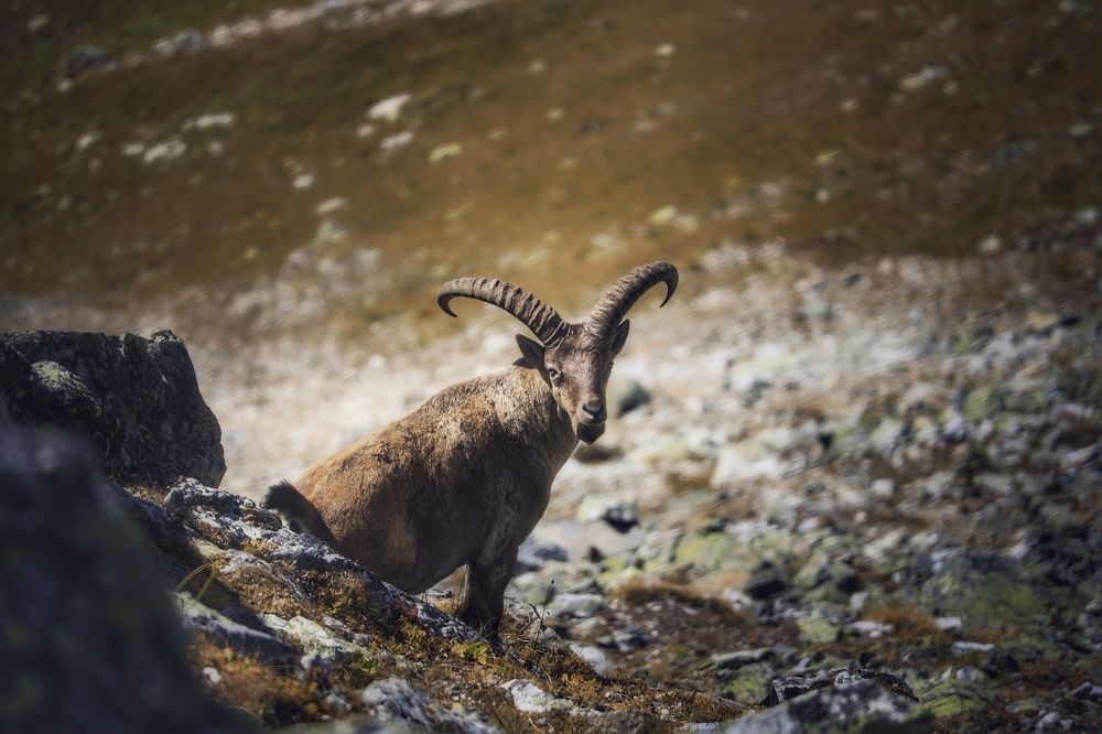 Photograph by Владимир Кульбит