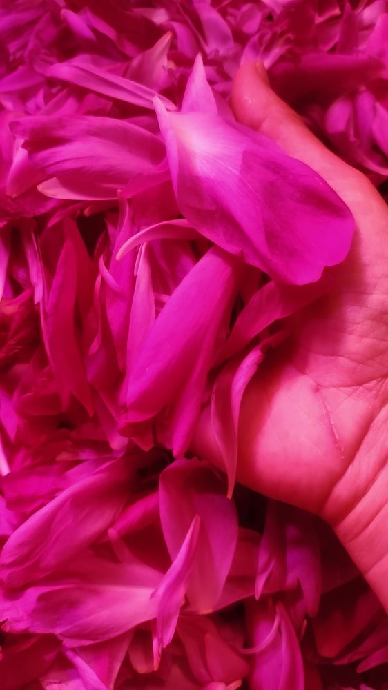 Photograph by Калюнова Наталья