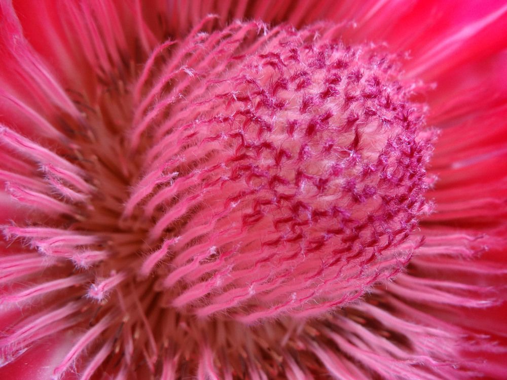 Photograph by Максим Мураков